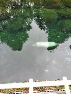 箱根園水族館に投稿された画像（2023/10/9）