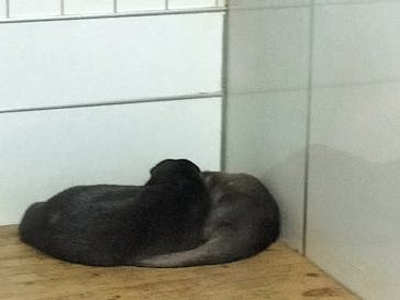 箱根園水族館に投稿された画像（2023/10/9）