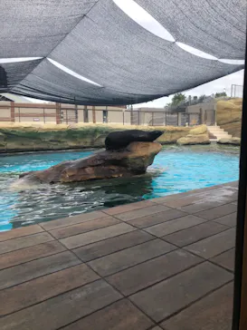 天王寺動物園に投稿された画像（2023/10/9）