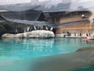 天王寺動物園に投稿された画像（2023/10/9）