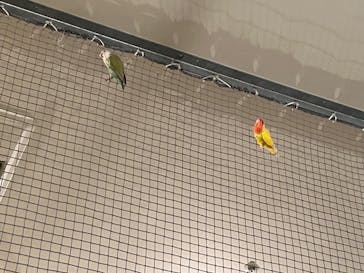 Moff animal cafe イオンモール幕張新都心店に投稿された画像（2023/10/9）