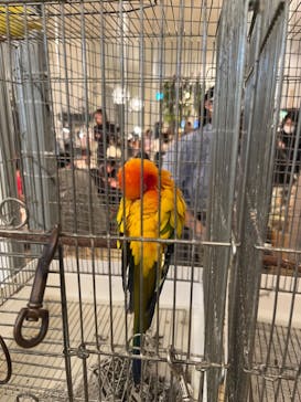 Moff animal cafe イオンモール幕張新都心店に投稿された画像（2023/10/9）