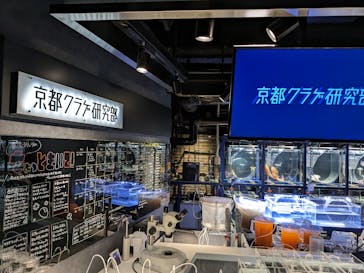 京都水族館に投稿された画像（2023/10/9）