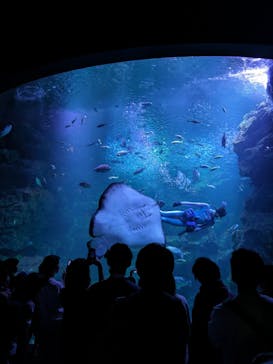 京都水族館に投稿された画像（2023/10/9）