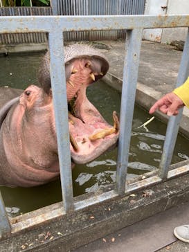宇都宮動物園に投稿された画像（2023/10/9）