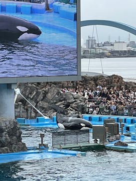 名古屋港水族館に投稿された画像（2023/10/9）