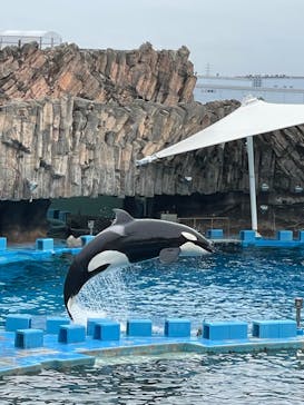 名古屋港水族館に投稿された画像（2023/10/9）