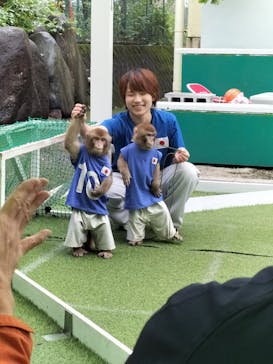 おさるランド＆アニタウン　日光さる軍団劇場に投稿された画像（2023/10/9）