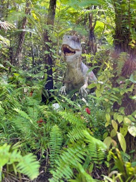 御菓子御殿　名護店　やんばる亜熱帯の森DINO恐竜PARKに投稿された画像（2023/10/9）
