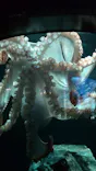 サンシャイン水族館に投稿された画像（2023/10/9）