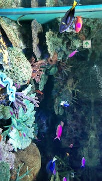 サンシャイン水族館に投稿された画像（2023/10/9）