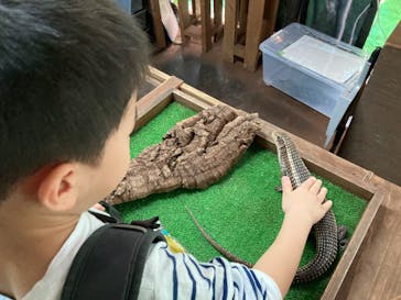 体感型動物園iZooに投稿された画像（2023/10/9）