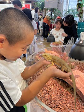 NARA IKIMONO MUSEUMに投稿された画像（2023/10/9）