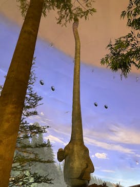 福井県立恐竜博物館に投稿された画像（2023/10/9）