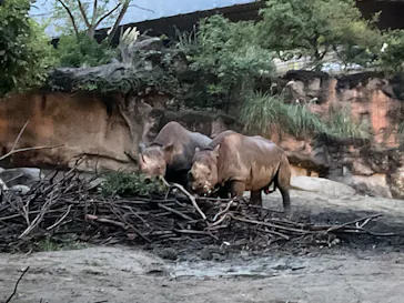 天王寺動物園に投稿された画像（2023/10/9）