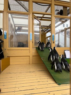 名古屋港水族館に投稿された画像（2023/10/9）