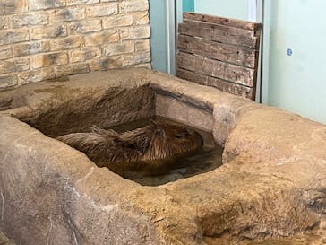 新江ノ島水族館に投稿された画像（2023/10/9）