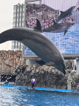 名古屋港水族館に投稿された画像（2023/10/9）