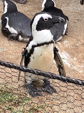 名古屋港水族館に投稿された画像（2023/10/9）