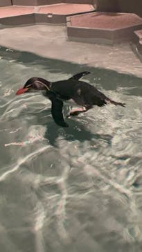 AOAO SAPPOROに投稿された画像（2023/10/9）