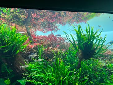 AOAO SAPPOROに投稿された画像（2023/10/9）