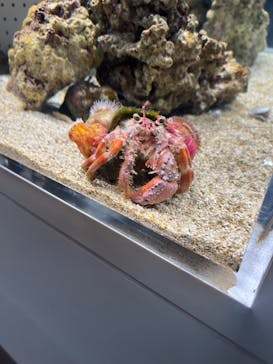 AOAO SAPPOROに投稿された画像（2023/10/9）