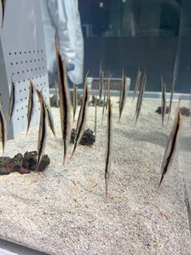 AOAO SAPPOROに投稿された画像（2023/10/9）