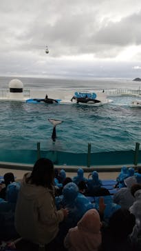 鴨川シーワールドに投稿された画像（2023/10/9）