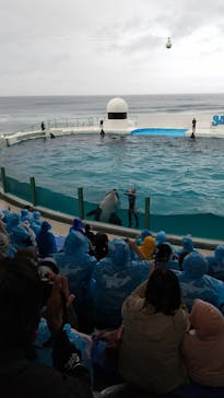 鴨川シーワールドに投稿された画像（2023/10/9）