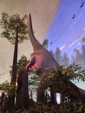 福井県立恐竜博物館に投稿された画像（2023/10/9）