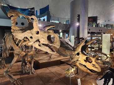 福井県立恐竜博物館に投稿された画像（2023/10/9）