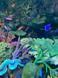 サンシャイン水族館に投稿された画像（2023/10/9）