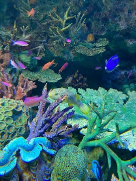 サンシャイン水族館に投稿された画像（2023/10/9）