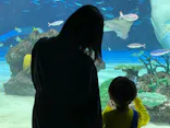 サンシャイン水族館に投稿された画像（2023/10/9）