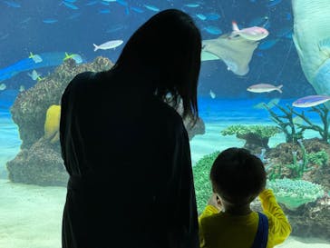 サンシャイン水族館に投稿された画像（2023/10/9）