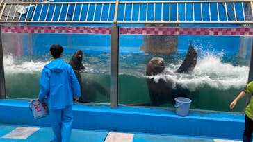 ゼロ距離水族館 伊勢シーパラダイスに投稿された画像（2023/10/9）