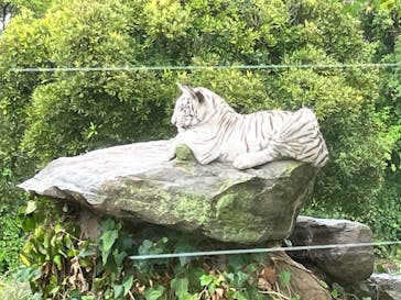 群馬サファリパークに投稿された画像（2023/10/9）