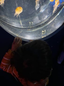 名古屋港水族館に投稿された画像（2023/10/9）