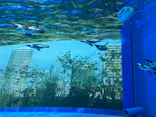 サンシャイン水族館に投稿された画像（2023/10/9）