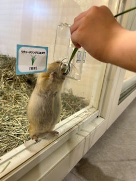 アニタッチアクアシティお台場に投稿された画像（2023/10/9）