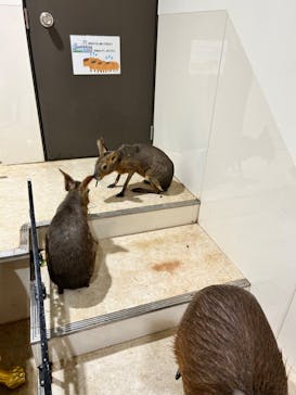 アニタッチアクアシティお台場に投稿された画像（2023/10/9）