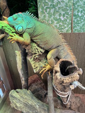 Moff animal world BIGHOPガーデンモール印西店に投稿された画像（2023/10/9）