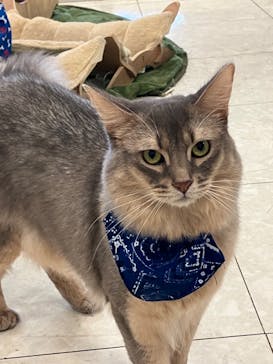 Moff animal world BIGHOPガーデンモール印西店に投稿された画像（2023/10/9）