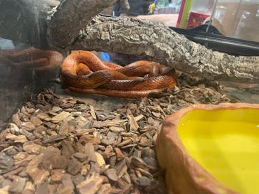 NARA IKIMONO MUSEUMに投稿された画像（2023/10/9）