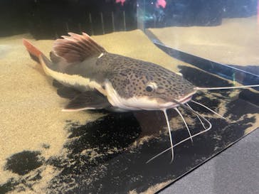 NARA IKIMONO MUSEUMに投稿された画像（2023/10/9）