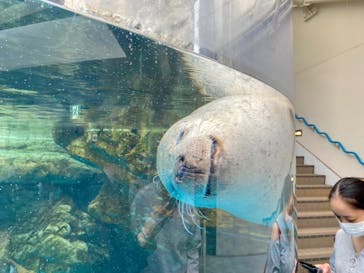 京都水族館に投稿された画像（2023/10/9）