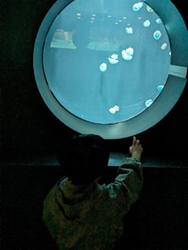 AOAO SAPPOROに投稿された画像（2023/10/9）