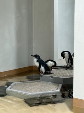 AOAO SAPPOROに投稿された画像（2023/10/9）