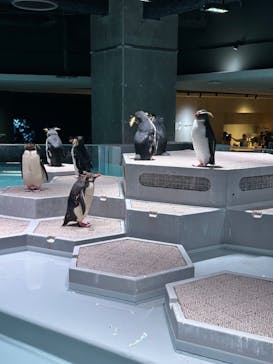 AOAO SAPPOROに投稿された画像（2023/10/9）