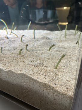 AOAO SAPPOROに投稿された画像（2023/10/9）